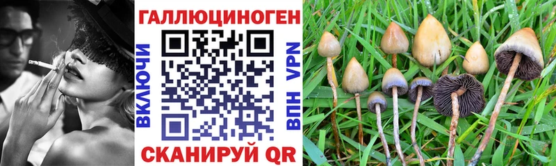 купить  сайты  Гаврилов-Ям  кракен ссылки  Псилоцибиновые грибы Magic Shrooms 